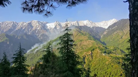 Snow-covered Dhauladhar range above green forested ridges seen from Dharamkot